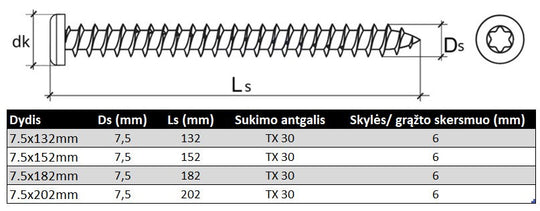 Betonsraigtis grudintas plokscia TORX galva staktoms ir remams Specifikacija